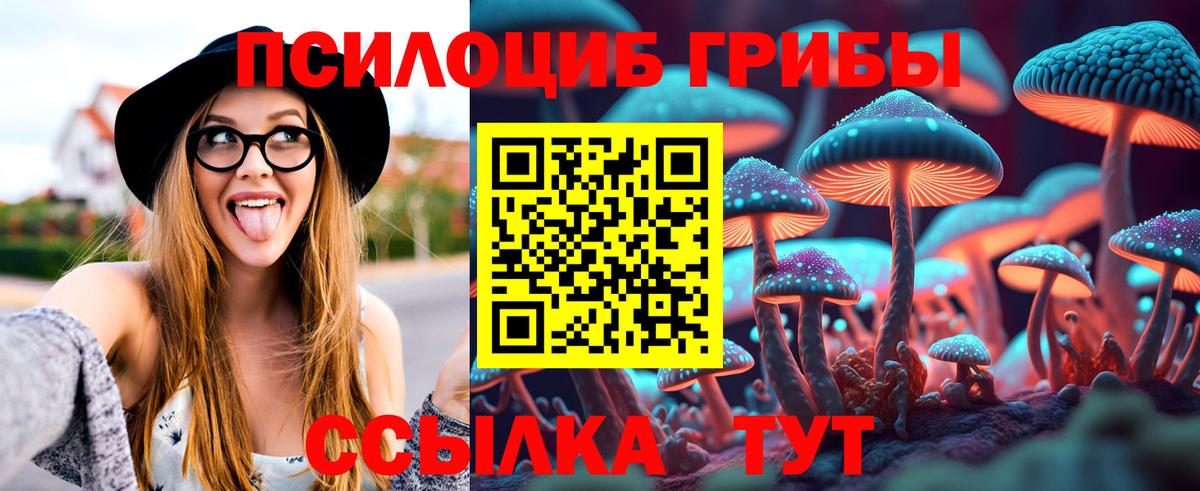 Псилоцибиновые грибы Psilocybe  Галлюциногенные грибы ЛСД  Вход с VPN  Феодосия 