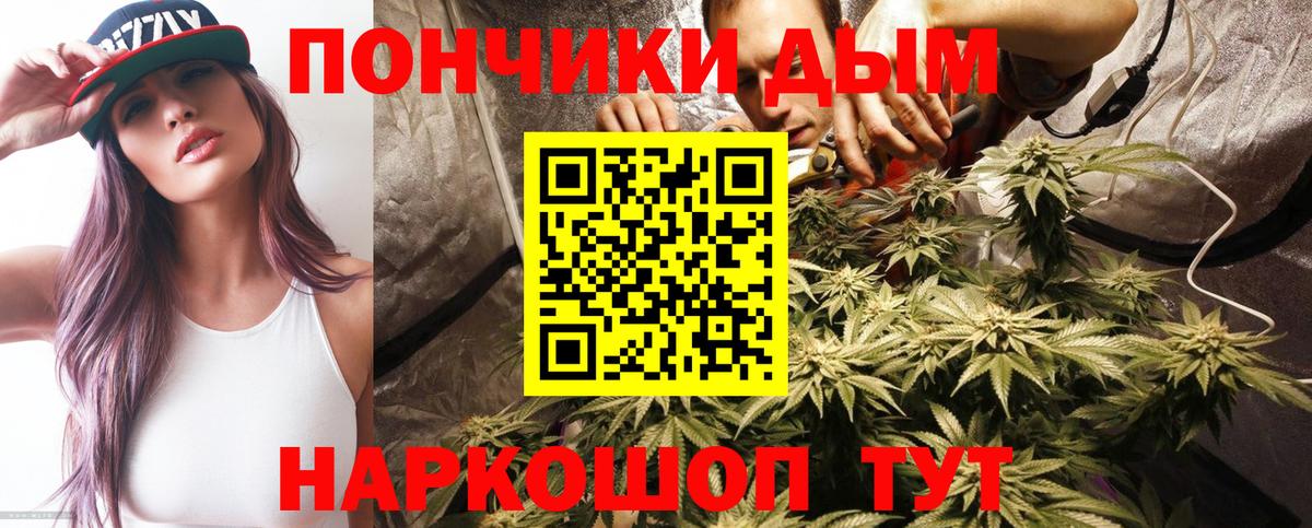 Шишки марихуана тримм  Вход с VPN  Феодосия  Бошки марихуана THC 21%  Конопля White Widow  Каннабис сатива 